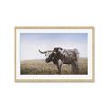 Picture of Roaming Around _GroupedProduct_Rectangle_Landscape_Framed_Matted_