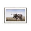 Picture of Roaming Around _GroupedProduct_Rectangle_Landscape_Framed_Matted_