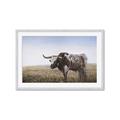 Picture of Roaming Around _GroupedProduct_Rectangle_Landscape_Framed_Matted_