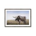 Picture of Roaming Around _GroupedProduct_Rectangle_Landscape_Framed_Matted_