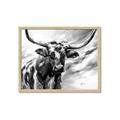 Picture of Longhorn Larry _GroupedProduct_Rectangle_Landscape_Framed_Matted_