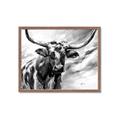 Picture of Longhorn Larry _GroupedProduct_Rectangle_Landscape_Framed_Matted_