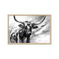 Picture of Longhorn Larry _GroupedProduct_Rectangle_Landscape_Framed_Matted_