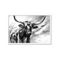 Picture of Longhorn Larry _GroupedProduct_Rectangle_Landscape_Framed_Matted_