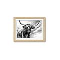 Picture of Longhorn Larry _GroupedProduct_Rectangle_Landscape_Framed_Matted_