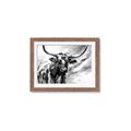 Picture of Longhorn Larry _GroupedProduct_Rectangle_Landscape_Framed_Matted_