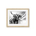 Picture of Longhorn Larry _GroupedProduct_Rectangle_Landscape_Framed_Matted_