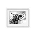 Picture of Longhorn Larry _GroupedProduct_Rectangle_Landscape_Framed_Matted_