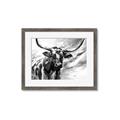 Picture of Longhorn Larry _GroupedProduct_Rectangle_Landscape_Framed_Matted_