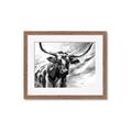 Picture of Longhorn Larry _GroupedProduct_Rectangle_Landscape_Framed_Matted_