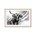 Picture of Longhorn Larry _GroupedProduct_Rectangle_Landscape_Framed_Matted_