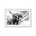Picture of Longhorn Larry _GroupedProduct_Rectangle_Landscape_Framed_Matted_