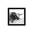 Picture of Sketched Horned Cow _GroupedProduct_Square_Framed_Matted_