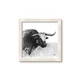 Picture of Sketched Horned Cow _GroupedProduct_Square_Framed_Matted_