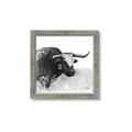 Picture of Sketched Horned Cow _GroupedProduct_Square_Framed_Matted_