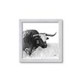 Picture of Sketched Horned Cow _GroupedProduct_Square_Framed_Matted_