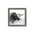 Picture of Sketched Horned Cow _GroupedProduct_Square_Framed_Matted_
