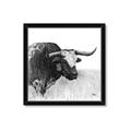 Picture of Sketched Horned Cow _GroupedProduct_Square_Framed_Matted_