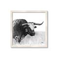 Picture of Sketched Horned Cow _GroupedProduct_Square_Framed_Matted_