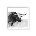 Picture of Sketched Horned Cow _GroupedProduct_Square_Framed_Matted_