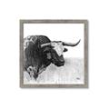 Picture of Sketched Horned Cow _GroupedProduct_Square_Framed_Matted_