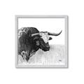 Picture of Sketched Horned Cow _GroupedProduct_Square_Framed_Matted_