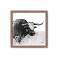 Picture of Sketched Horned Cow _GroupedProduct_Square_Framed_Matted_
