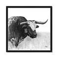 Picture of Sketched Horned Cow _GroupedProduct_Square_Framed_Matted_