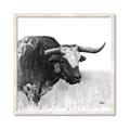 Picture of Sketched Horned Cow _GroupedProduct_Square_Framed_Matted_