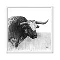 Picture of Sketched Horned Cow _GroupedProduct_Square_Framed_Matted_