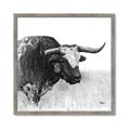 Picture of Sketched Horned Cow _GroupedProduct_Square_Framed_Matted_