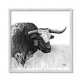 Picture of Sketched Horned Cow _GroupedProduct_Square_Framed_Matted_