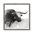 Picture of Sketched Horned Cow _GroupedProduct_Square_Framed_Matted_