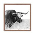 Picture of Sketched Horned Cow _GroupedProduct_Square_Framed_Matted_