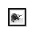 Picture of Sketched Horned Cow _GroupedProduct_Square_Framed_Matted_