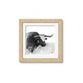 Picture of Sketched Horned Cow _GroupedProduct_Square_Framed_Matted_