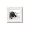 Picture of Sketched Horned Cow _GroupedProduct_Square_Framed_Matted_