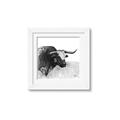 Picture of Sketched Horned Cow _GroupedProduct_Square_Framed_Matted_
