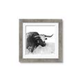 Picture of Sketched Horned Cow _GroupedProduct_Square_Framed_Matted_