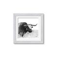 Picture of Sketched Horned Cow _GroupedProduct_Square_Framed_Matted_