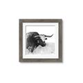 Picture of Sketched Horned Cow _GroupedProduct_Square_Framed_Matted_
