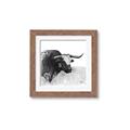 Picture of Sketched Horned Cow _GroupedProduct_Square_Framed_Matted_