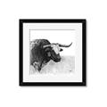 Picture of Sketched Horned Cow _GroupedProduct_Square_Framed_Matted_