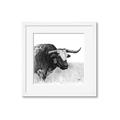 Picture of Sketched Horned Cow _GroupedProduct_Square_Framed_Matted_