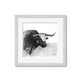 Picture of Sketched Horned Cow _GroupedProduct_Square_Framed_Matted_