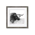 Picture of Sketched Horned Cow _GroupedProduct_Square_Framed_Matted_