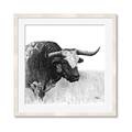 Picture of Sketched Horned Cow _GroupedProduct_Square_Framed_Matted_