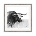 Picture of Sketched Horned Cow _GroupedProduct_Square_Framed_Matted_
