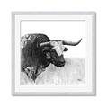 Picture of Sketched Horned Cow _GroupedProduct_Square_Framed_Matted_