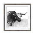 Picture of Sketched Horned Cow _GroupedProduct_Square_Framed_Matted_
